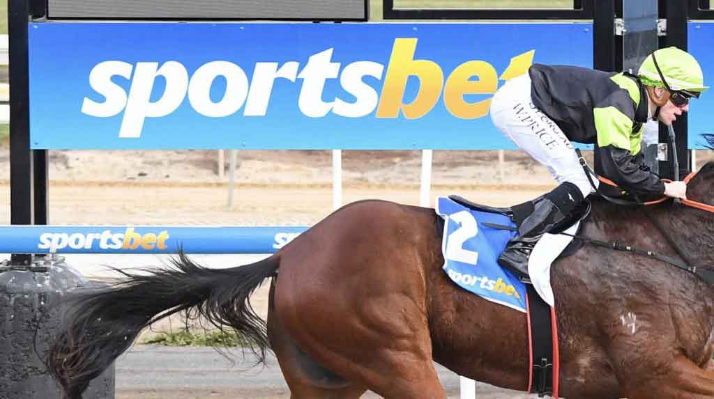 Sportsbet parent company Flutter overview
